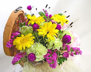 �s�N�j�b�N�o�X�P�b�g�̃A�����W�����g