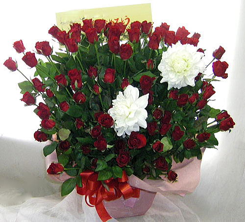�o���ƃ_���A100�{�̌�j���̃A�����W