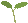 �A�C�R��