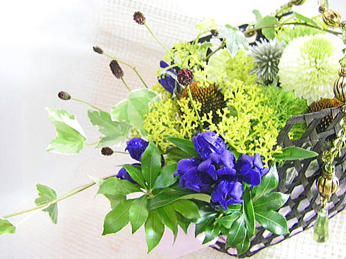�I�~�i�G�V�ƃ����h�E�̒|�ăA�����W�����g
