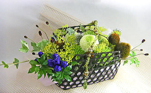 �I�~�i�G�V�ƃ����h�E�̒|�ăA�����W�����g
