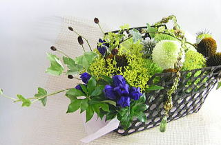 �I�~�i�G�V�ƃ����h�E�̒|�ăA�����W�����g