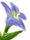 �A�C�R��