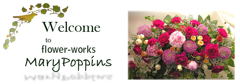 marypoppins-logo