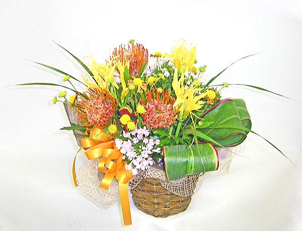 �s���N�b�V�����ƃ��R���X�̃o�X�P�b�g�A�����W