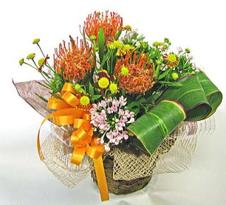 �s���N�b�V�����ƃu�o���f�B�A�̃A�����W�����g