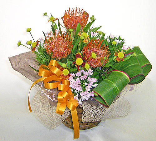 �s���N�b�V�����ƃu�o���f�B�A�̃A�����W�����g