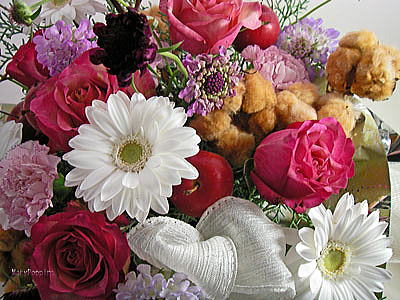 �e�f�B�x�A�̓~�̃A�����W