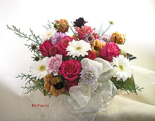 �e�f�B�x�A�̓~�̃A�����W