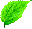 reaf