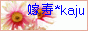 嫁寿*kaju