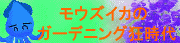 モウズイカさん