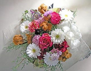 �e�f�B�x�A�̓~�̃A�����W