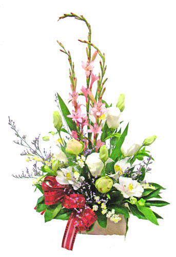 ���b�g�\�j�A�̃{�b�N�X�A�����W�����g