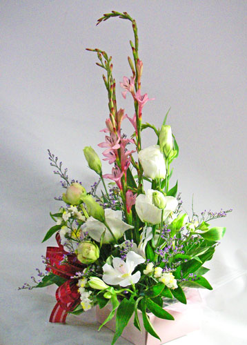 thank you�s�b�N