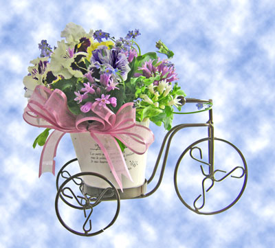 春のお花の自転車に乗って・・