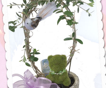 オリーブと、青い小鳥と、モスベアーの鉢植えギフト