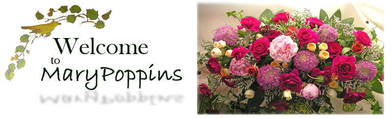 flower-worksMaryPoppins